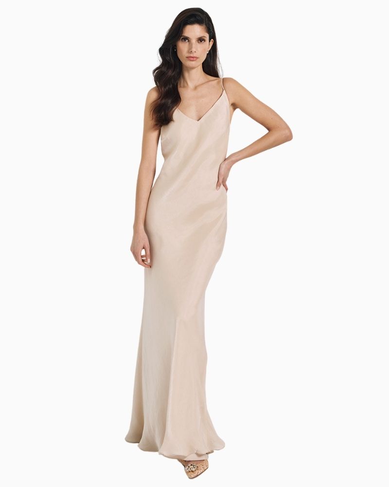 Access - Shimmery Maxi Dress