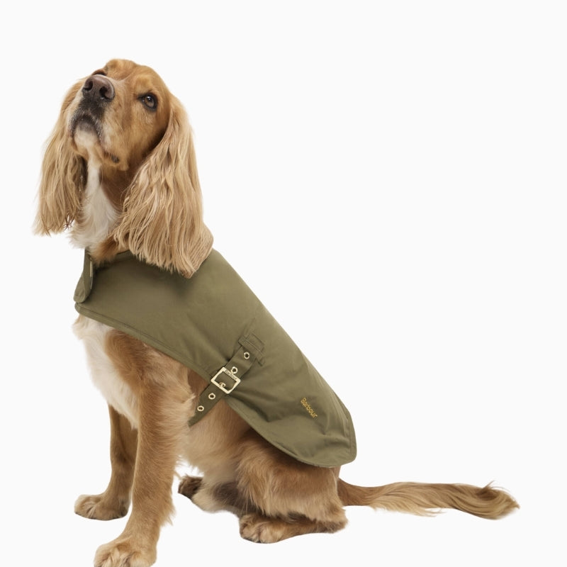 Dog wearing Barbour Transport dry wax dog coat – Áines Boutique