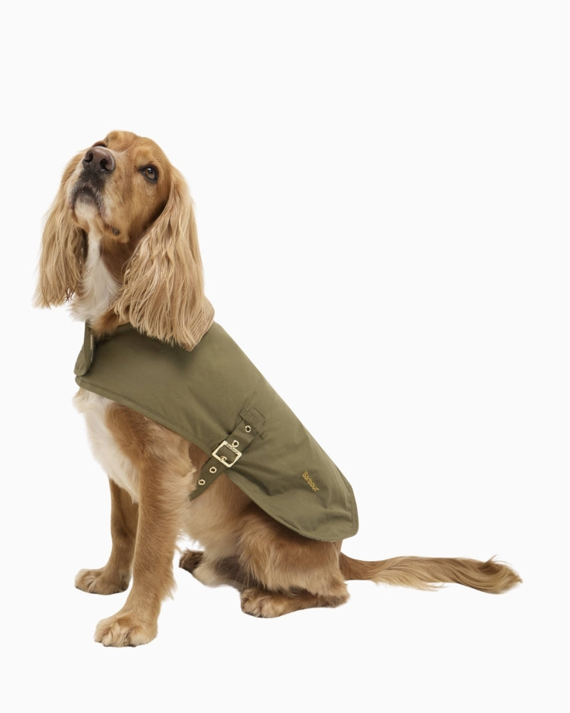 Dog wearing Barbour Transport dry wax dog coat – Áines Boutique