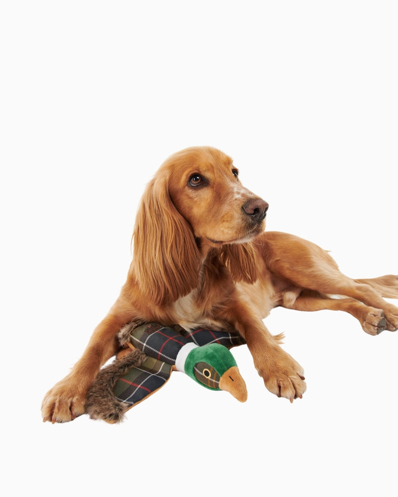 Barbour pheasant squeaky toy displayed flat showing shape and size