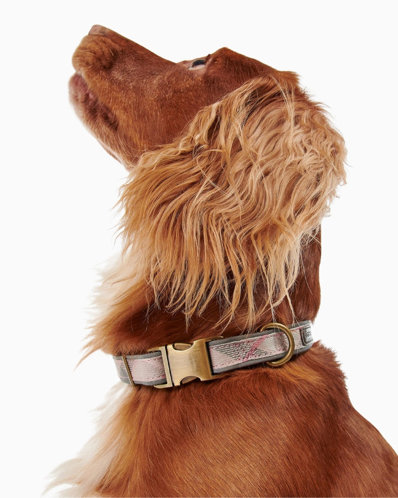 Barbour Reflective Tartan Dog Collar in pink with clasp fastening
