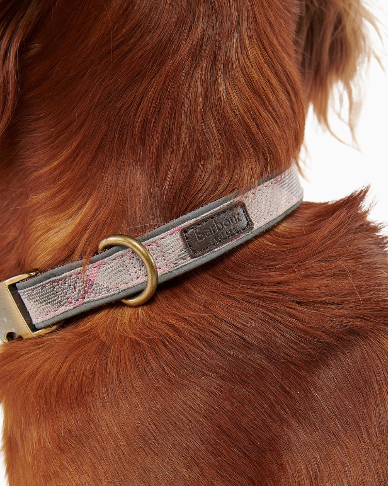 Side view of pink Barbour reflective dog collar with embossed badge