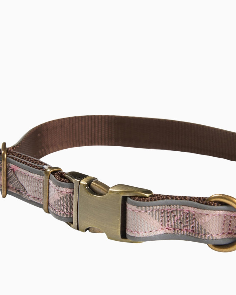 Close-up of clasp and reflective piping on Barbour dog collar