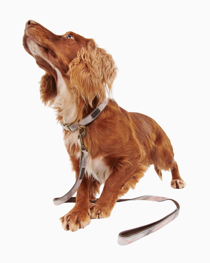 Barbour Reflective Tartan Dog Lead in pink with brass clip and loop handle