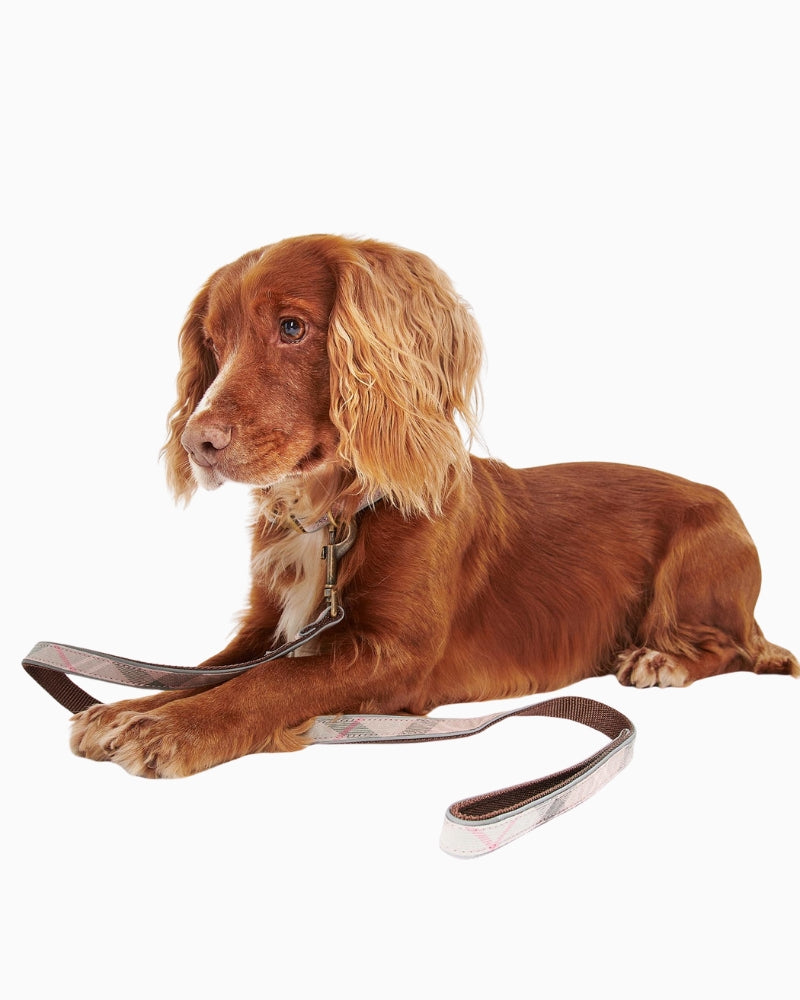 Pink tartan Barbour reflective lead displayed flat with brass clip