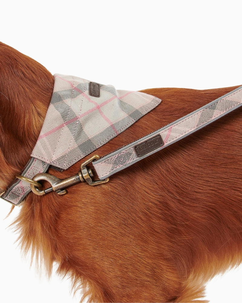 Barbour reflective tartan dog lead in pink styled with matching collar