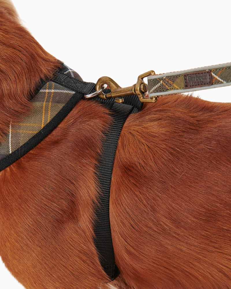 Close-up side view of Barbour Tartan Dog Harness on dog