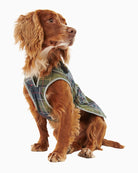 Barbour Waterproof Tartan Dog Coat with cord collar and fleece lining