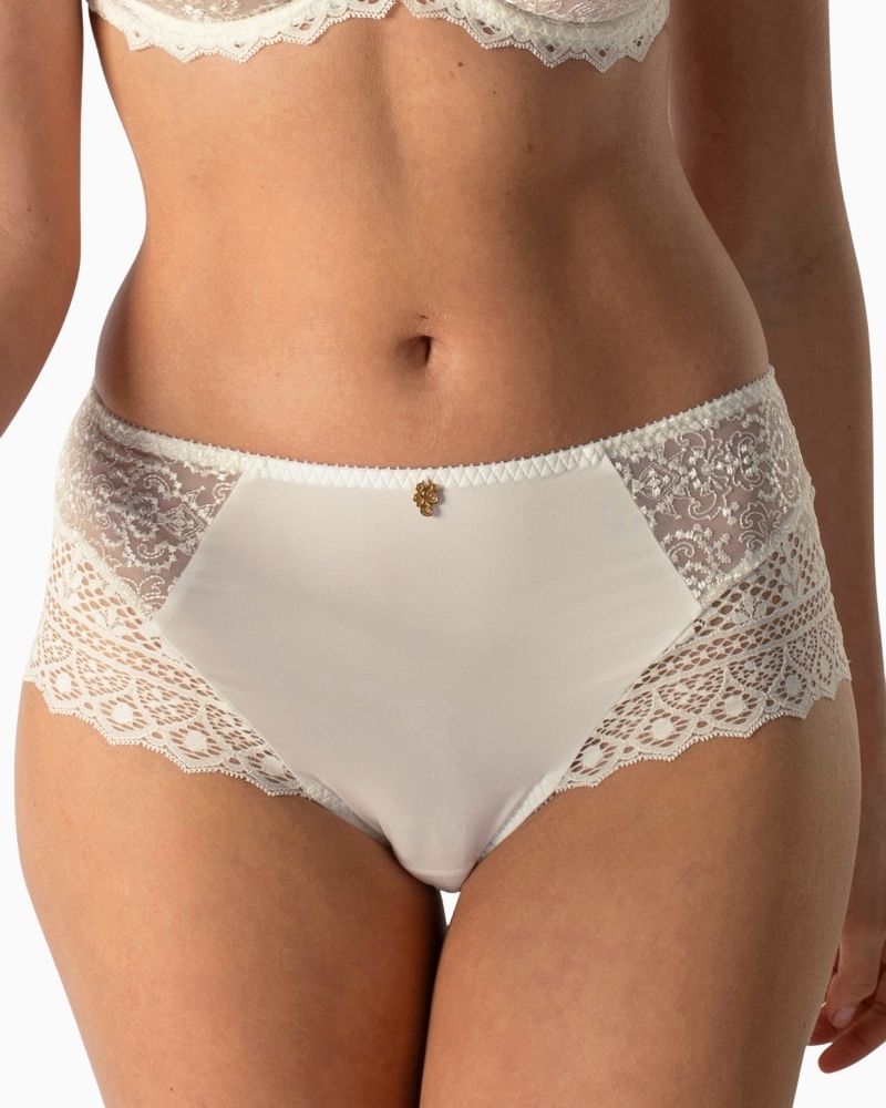Empreinte Cassiopée full briefs in silk with lace and sheer panel detailing