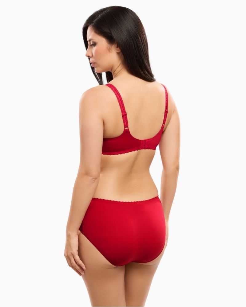 Back view of Romy panty showing full coverage and soft opaque mesh fabric