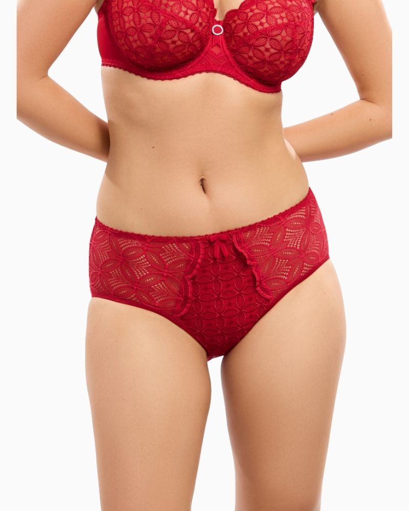 Close up view of Romy panty showing full coverage and soft opaque mesh fabric