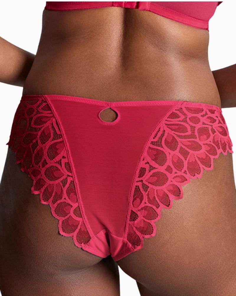 Close-up Back view of Panache Brazilian brief showing flirty cut-out and sheer lace design