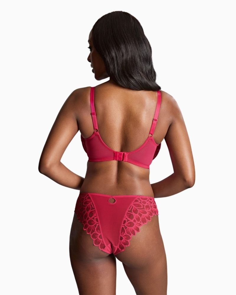 Back view of Panache Brazilian brief showing flirty cut-out and sheer lace design