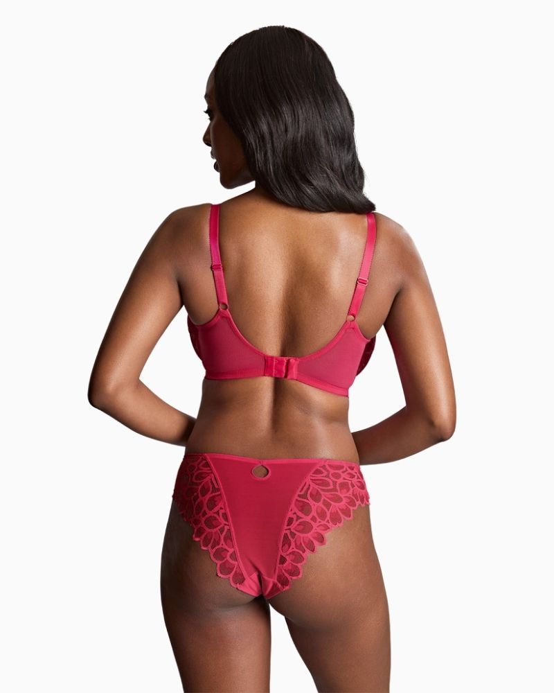 Back view of Panache Allure Full Cup Bra with supportive power mesh wings