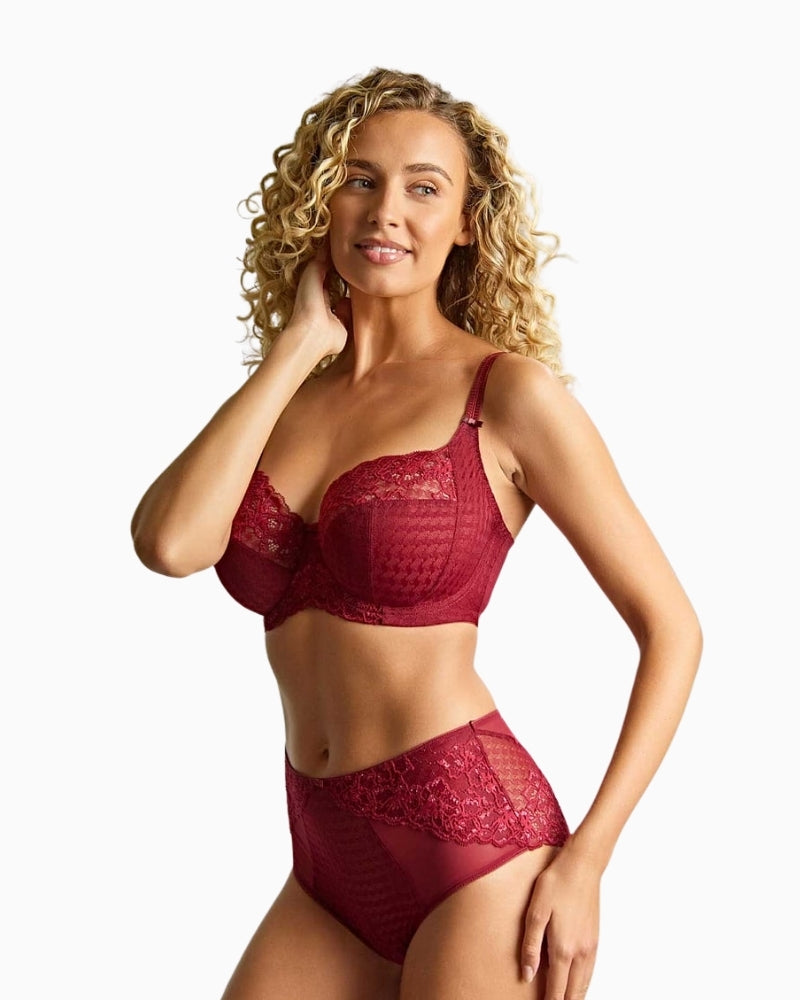 Panache Envy deep brief in Sparkling Cherry lace with flattering full cut