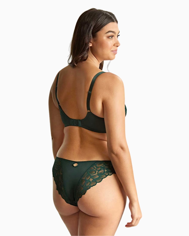 Back view of Panache Brazilian brief showing keyhole cut-out and scalloped lace edges