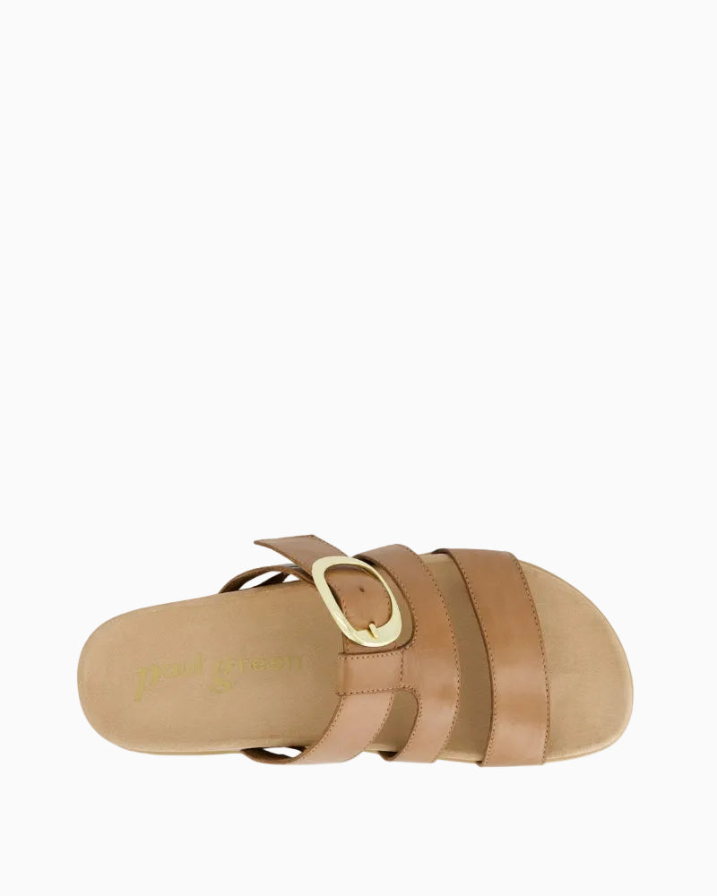 Paul Green tan mules top view