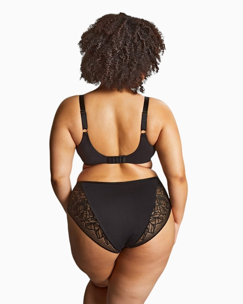 Back view of Panache Sophia brief with stretch lace detail