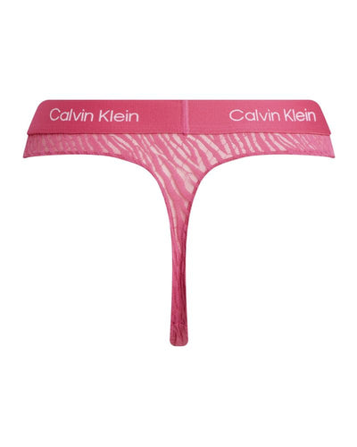 Calvin Klein - Modern Thong in Fuchsia - Rear View