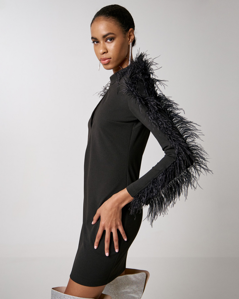 Access -  Feather Long Sleeve Dress 