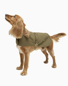 Barbour Transport dry wax dog coat side view on dog – Áines Boutique