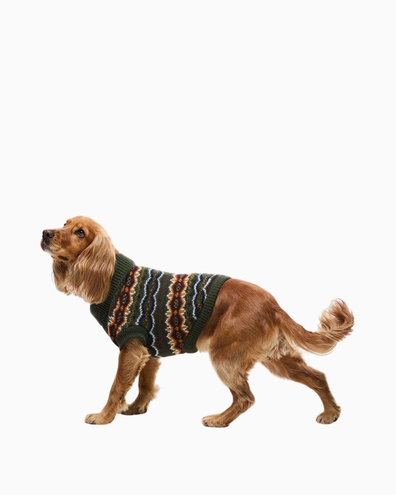 Dog wearing Barbour Fair Isle jumper in olive with cosy knitted design