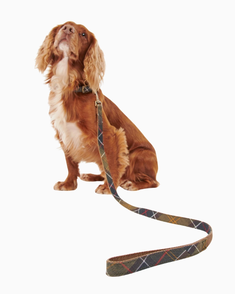 Barbour Tartan Webbing Dog Lead in classic tartan with loop handle