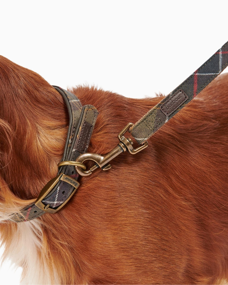Close-up of Barbour branded badge and tartan trim on dog lead