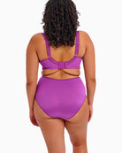 Elomi Cate Underwear Bra in Purple back view