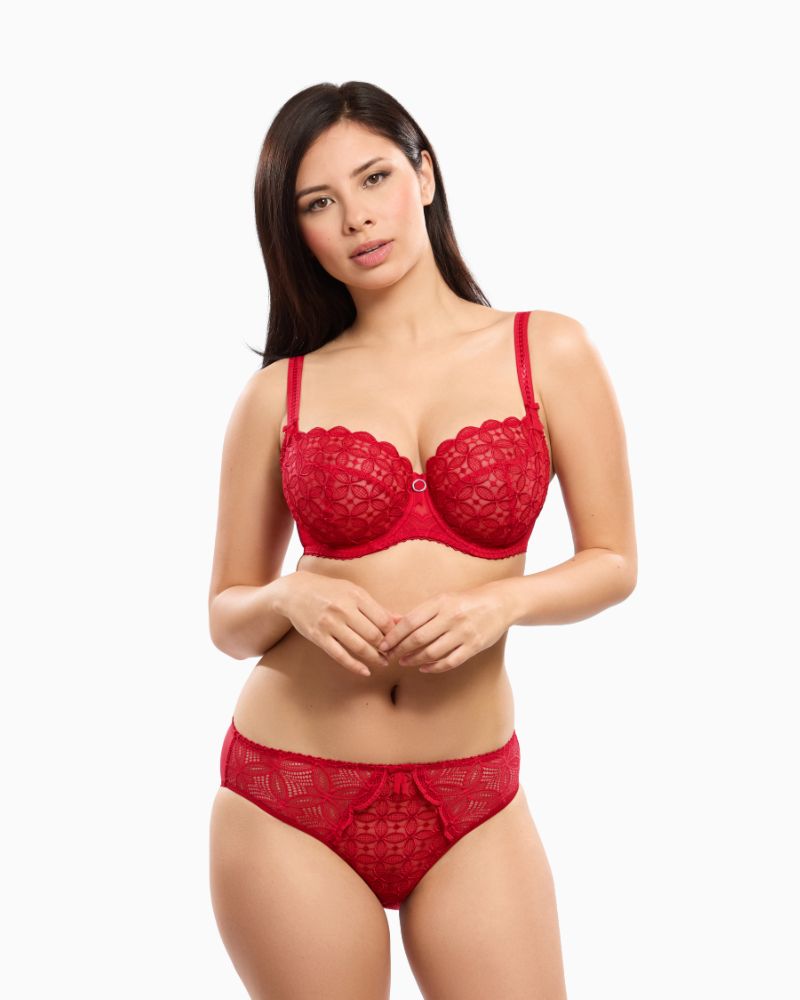 Empreinte Romy brief in red lace with embroidered front and soft mesh back
