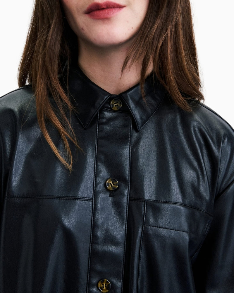 Frnch Harter Dress in Black shirt collar and button detail