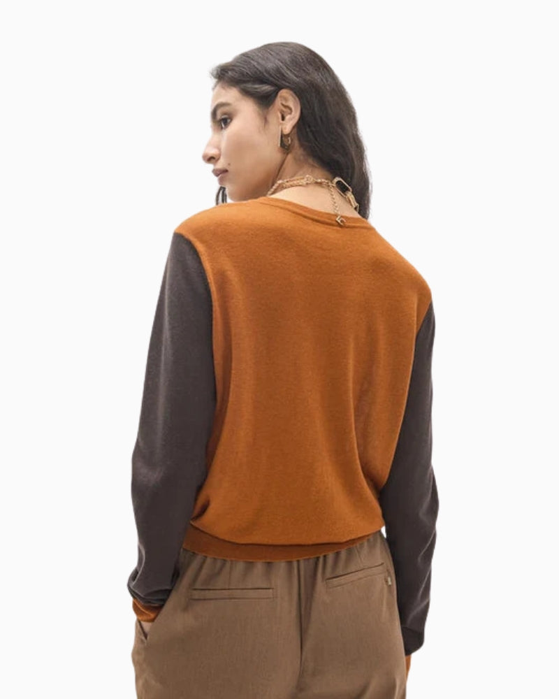 Lola Casademunt Leopard Jumper in Brown back view