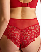 Panache Allure brief back view full coverage – Áines Boutique