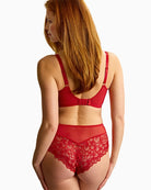Panache Allure brief back view full coverage – Áines Boutique