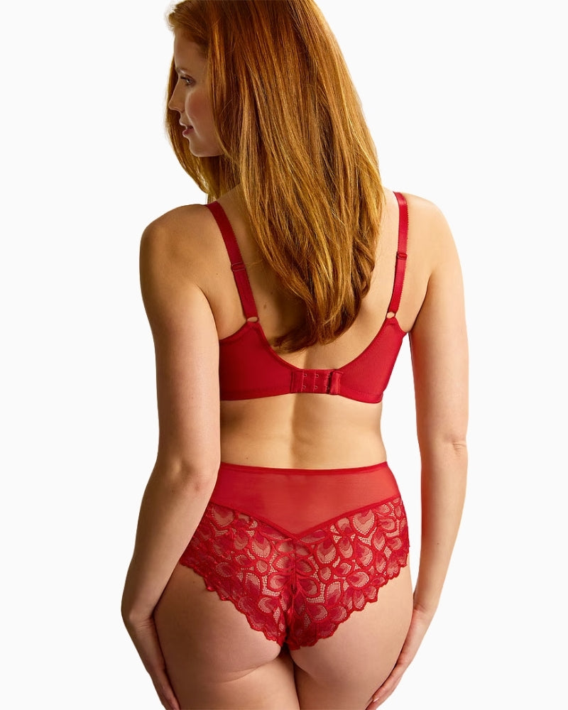 Panache Allure brief back view full coverage – Áines Boutique