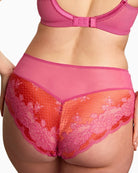 Panache Clara brief two-tone lace close-up – Áines Boutique