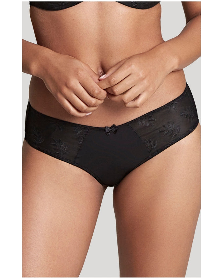 Panache - Tango Brief