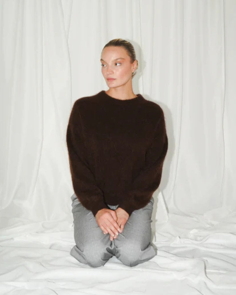 TWNS The Label Thornton Jumper in Brown front view