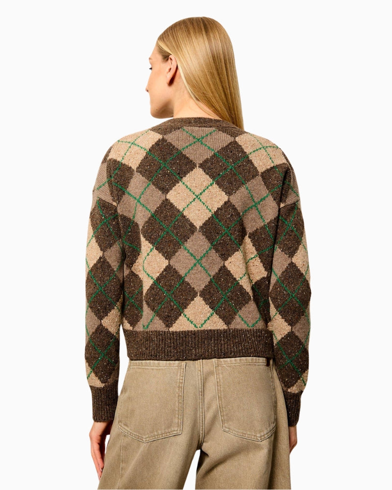 Weekend Max Mara Abile Wool Cardigan in Brown back view