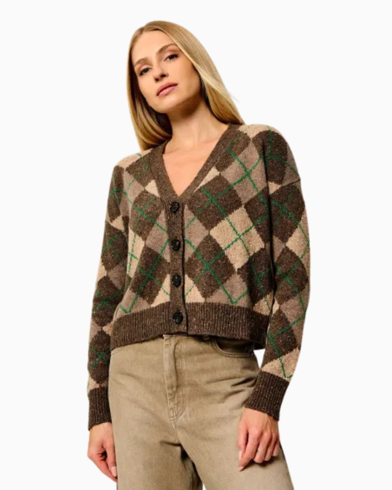 Weekend Max Mara Abile Wool Cardigan in Brown front view