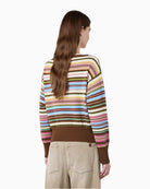 Weekend Max Mara Pure Cotton Yarn Sweater in Multicolour back view