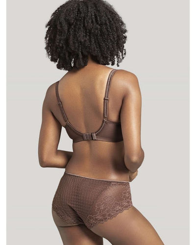 Panache - Envy Full Cup in Chestnut - Rear View