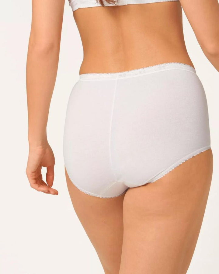 Sloggi - Maxi Briefs in White - Back View